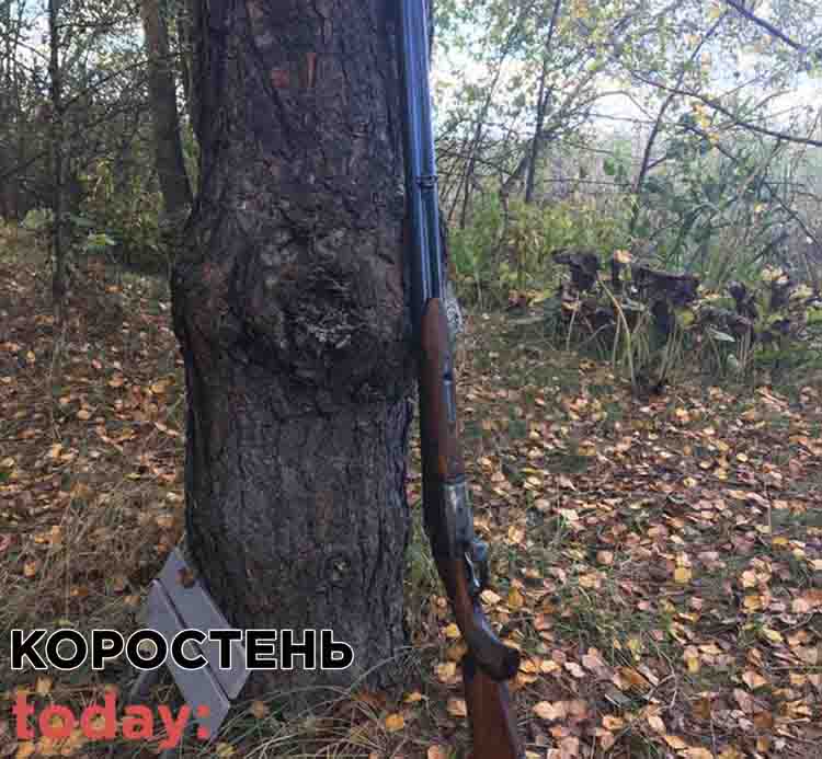 vbuv losya15 2