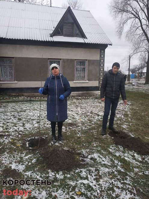 vusadulu malun 181122 kor 2