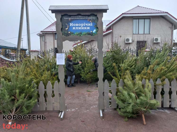 yalunku korgro kypuru 151221 1