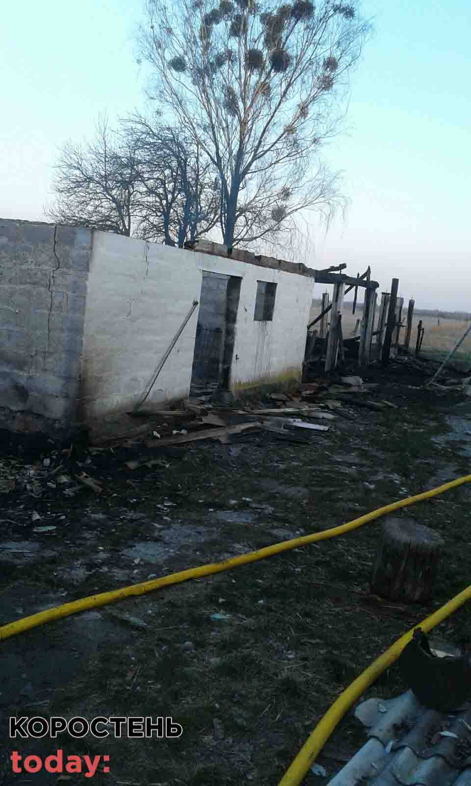 zavuhidni pozhezhs kor 1204 2