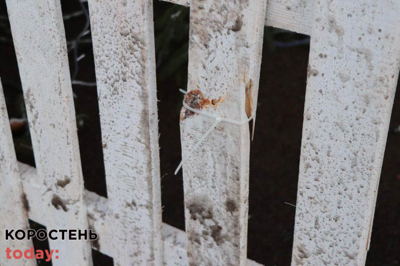 znis olevsk yalunky211221 3